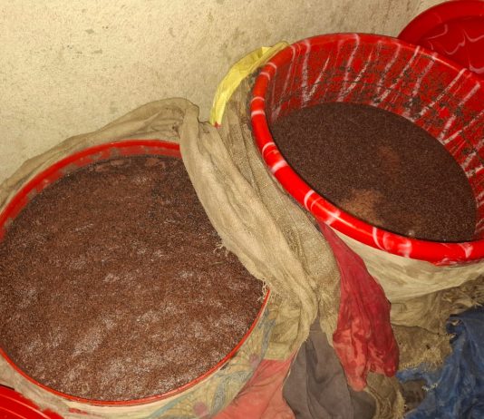 Police Destroy Over 157,000 Liters of Illegal Alcohol in Southern Province